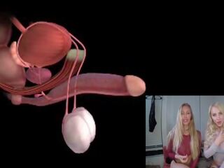 Male orgasmo anatomy explained pang-edukasyon joi: Libre xxx klip 85